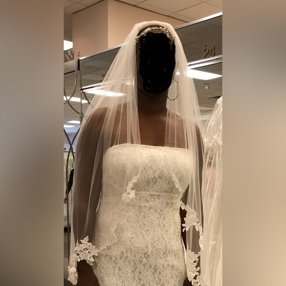 David's Bridal Beaded Lace Sheath Wedding Gown w/Embroidery Waist - Picture 10 of 11